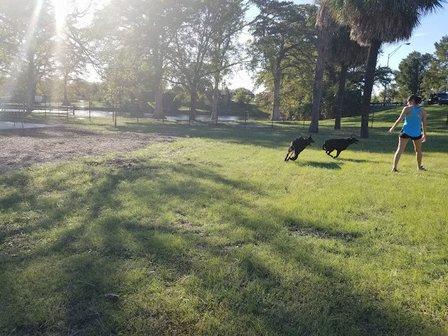 Woodlawn Lake Dog Park