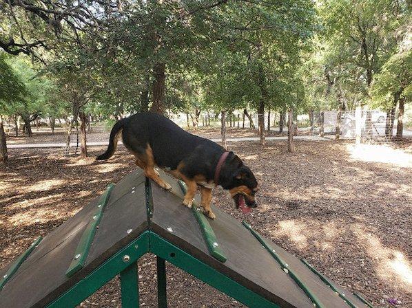 Blanco Road Dog Park in Phil Hardberger Park