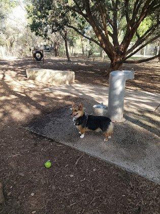 Phil Hardberger Park - Dog park