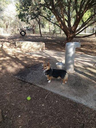 Phil Hardberger Park - Dog park