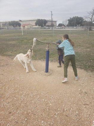 Harris Heights Dog Park