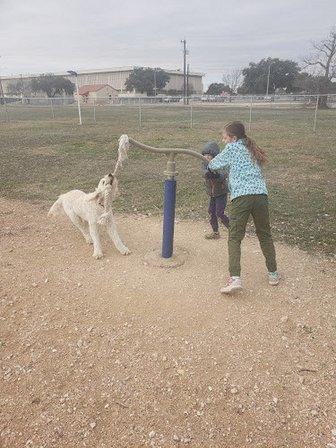 Harris Heights Dog Park