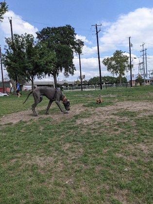 Maverick Park