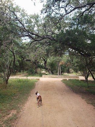 Voelcker Homestead Trailhead
