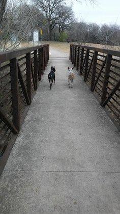 Salado Creek Greenway