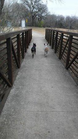 Salado Creek Greenway