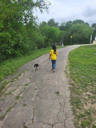 J Street Trailhead