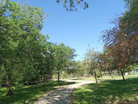 Lee's Creek Park