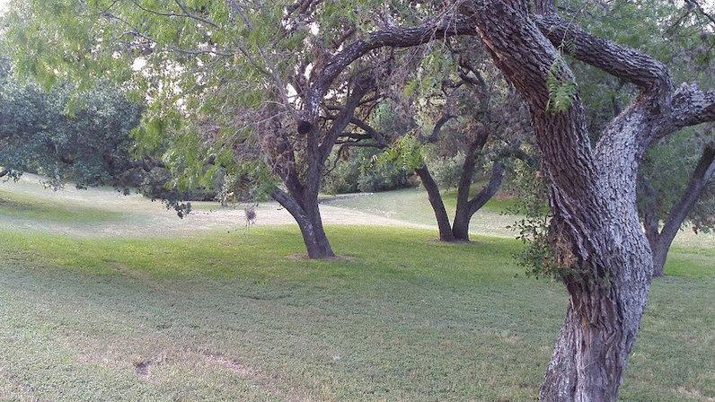 Oak Hills Park