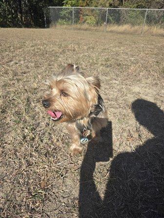 Jane Dubel Park