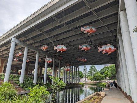 San Antonio Bat Colony