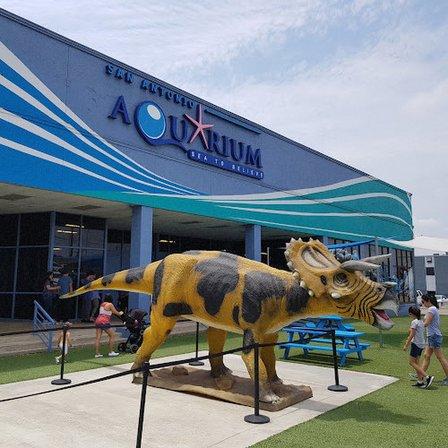 San Antonio Aquarium