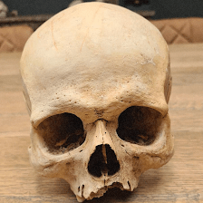 Calaveras Tattoos