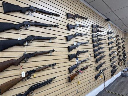 Armed in America Firearms