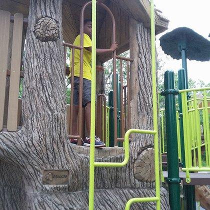 Cathedral Rock Park