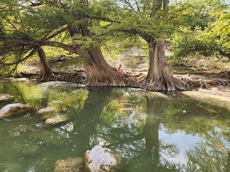 Guadalupe River State Park Entrance