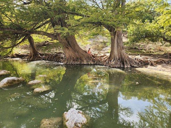 Guadalupe River State Park Entrance