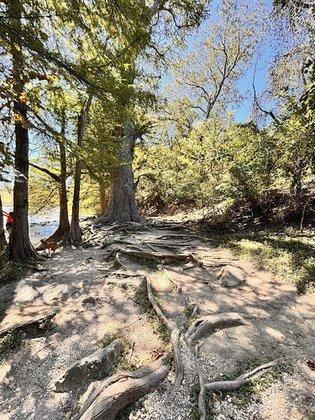 Guadalupe River State Park Bauer Unit