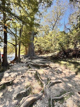 Guadalupe River State Park Bauer Unit