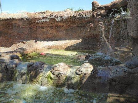 Animal World & Snake Farm Zoo