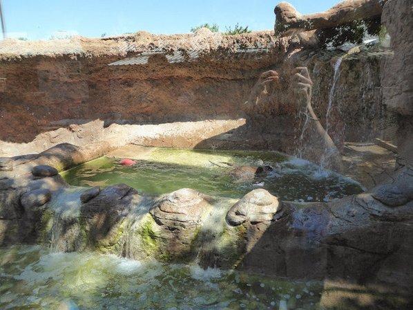 Animal World & Snake Farm Zoo