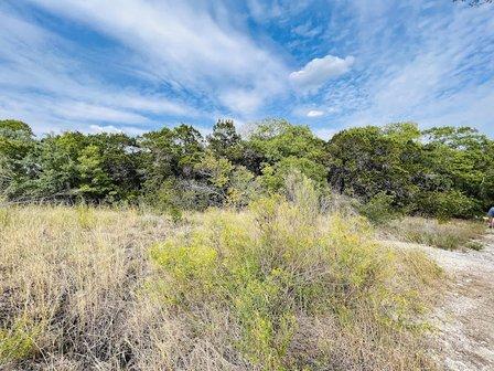 Senator Frank L. Madla Natural Area