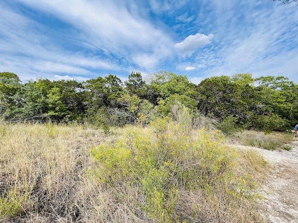 Senator Frank L. Madla Natural Area