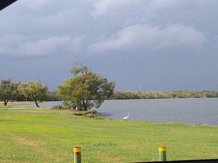Braunig Lake Park