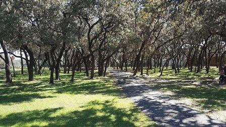 Dover Ridge Nature Park (Residents only)