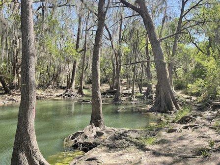 Castroville Regional Park