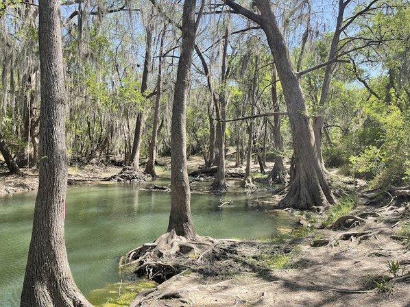 Castroville Regional Park