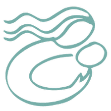 Westover Hills Women's Health
