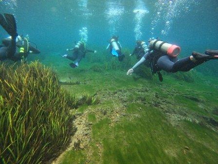 Undersea Warriors