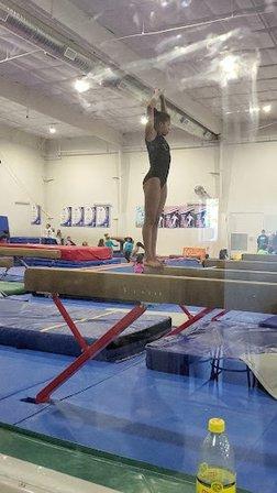 Love Gymnastics
