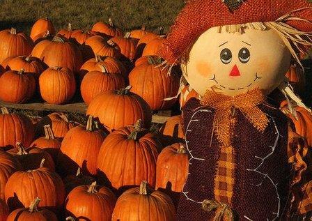 Owl Creek Farm