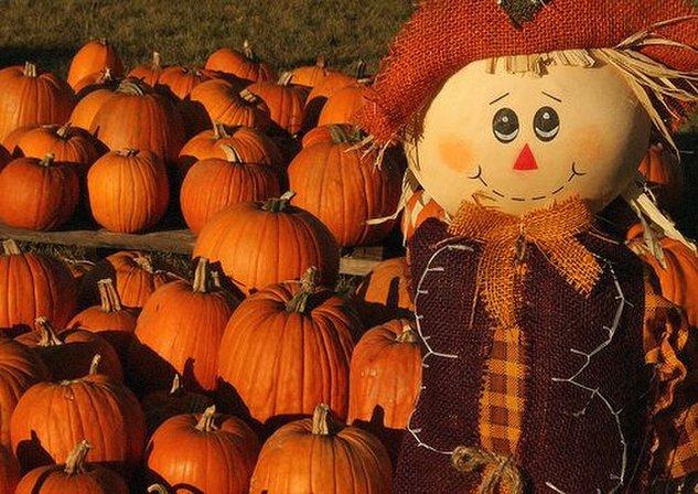 Owl Creek Farm