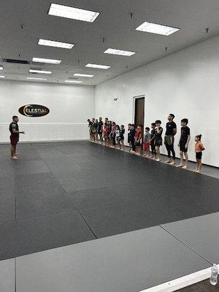 Celestial Grappling Academy