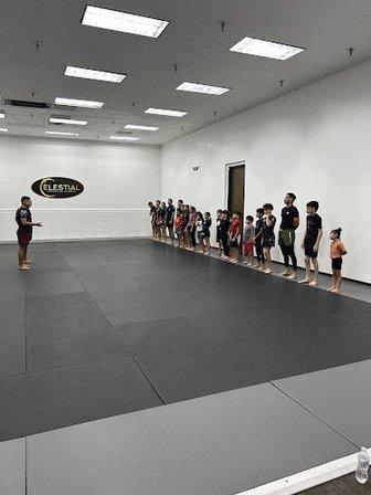 Celestial Grappling Academy