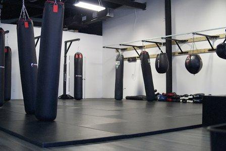 Pinnacle Martial Arts Brazilian Jiu Jitsu & MMA San Antonio