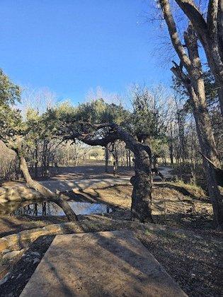 McClain Park