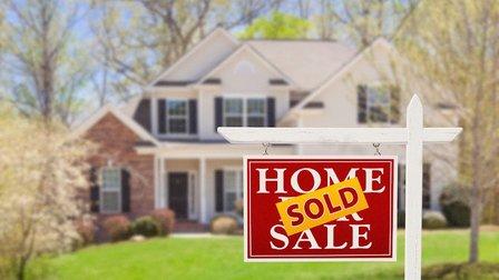 Property Sapiens