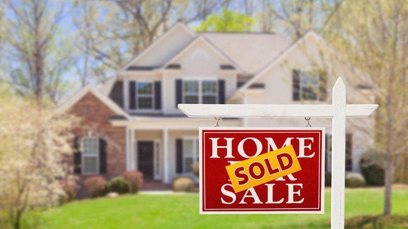 Property Sapiens