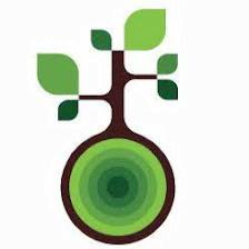 Roots Behavioral Health