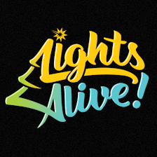 Lights Alive! Christmas Light Park (San Antonio)