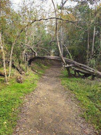 Judson Nature Trails