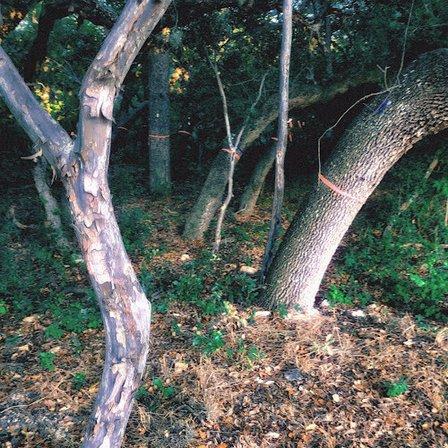 Caracol Creek Park