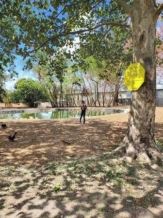 Eden Duck pond- Private Park