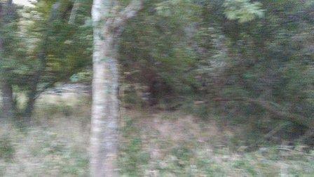 Emergency Call Box On Leon Creek Greenway