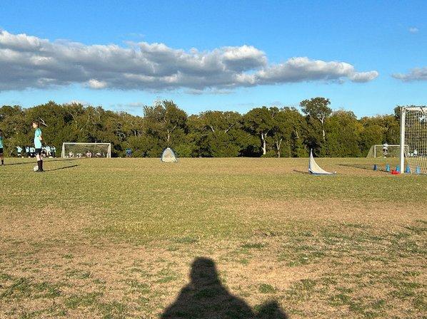Field 16