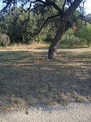 Park